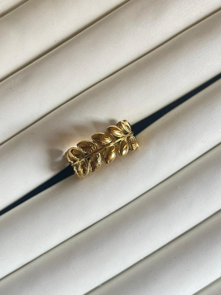 Roman Ring