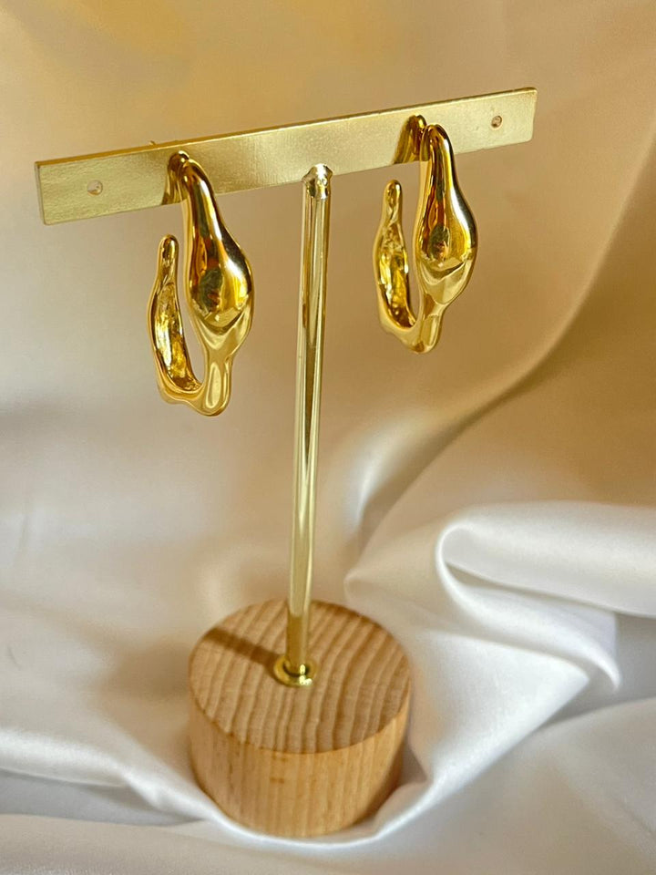 Trinkets Earrings